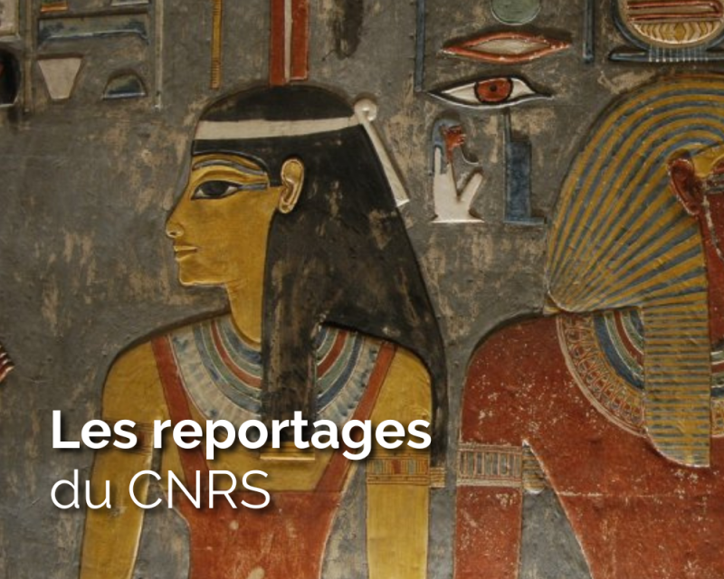 Les reportages du CNRS